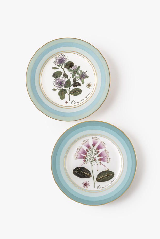 Set Of 2- Oceana Side Plates