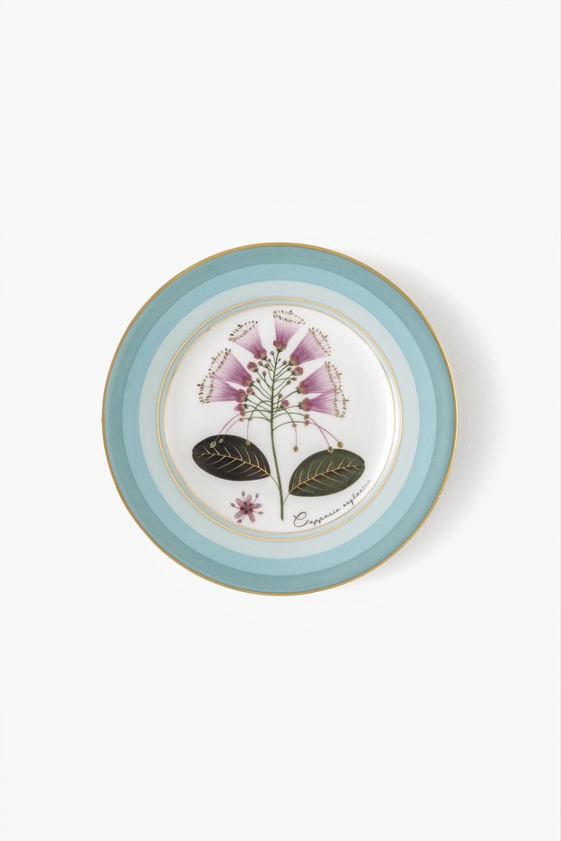 Set Of 2- Oceana Side Plates